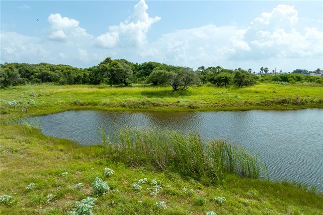 148 Dominguez Rd, Home with 0 bedrooms, 0 bathrooms and null parking in Aransas Pass TX | Image 18