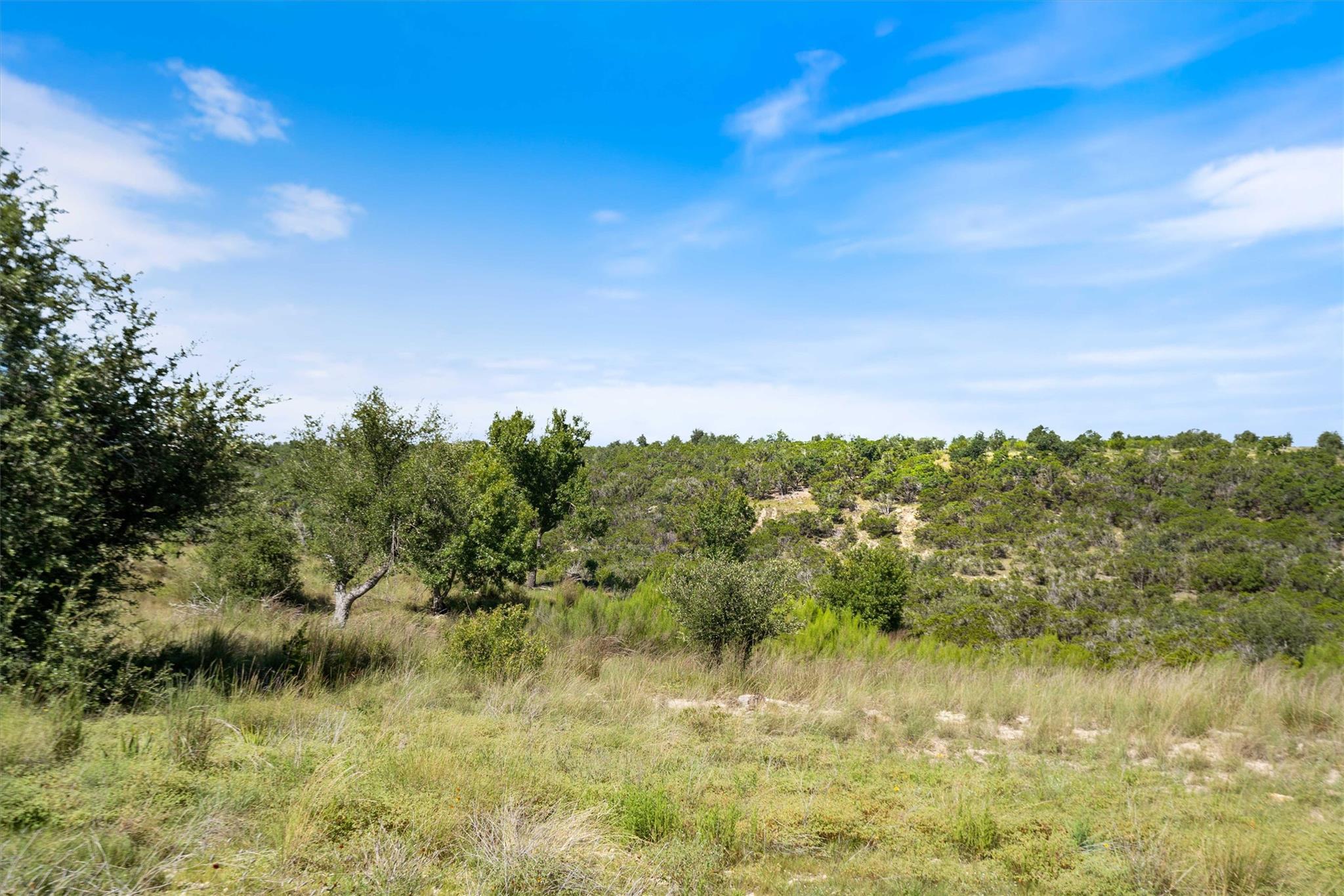 Land in Johnson City 4