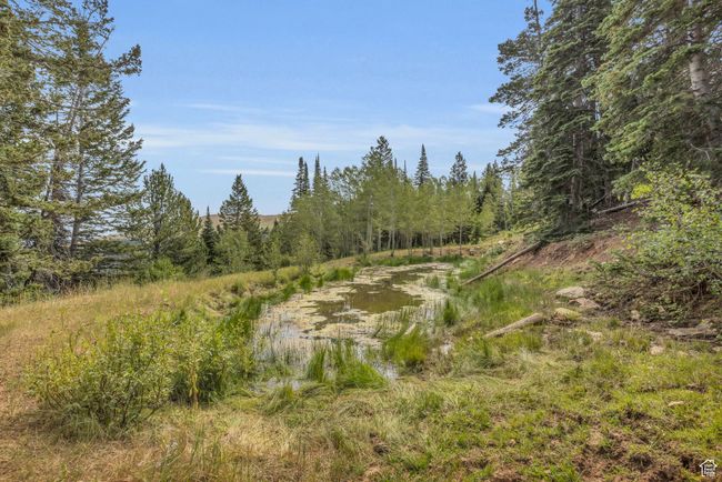 10780 Ford Ridge Rd, Home with 0 bedrooms, 0 bathrooms and null parking in Helper UT | Image 30