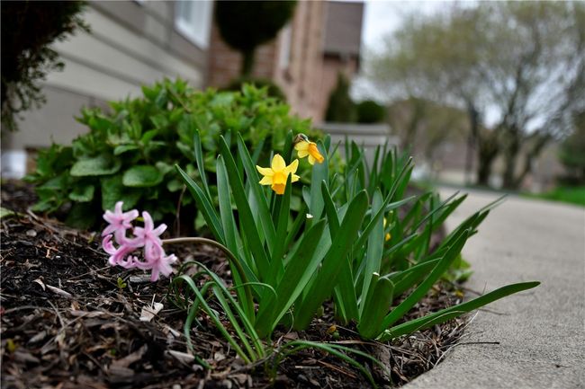 102 Linden Ct, Condo with 3 bedrooms, 3 bathrooms and 2 parking in Seven Fields PA | Image 5