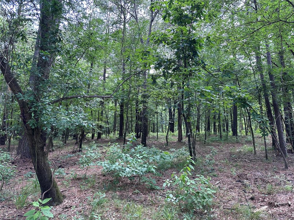 Land in Broken Bow 3