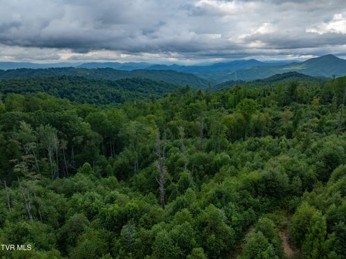 Tbd Walnut Mountainn Rd, Roan Mountain, TN, 37687 | Card Image