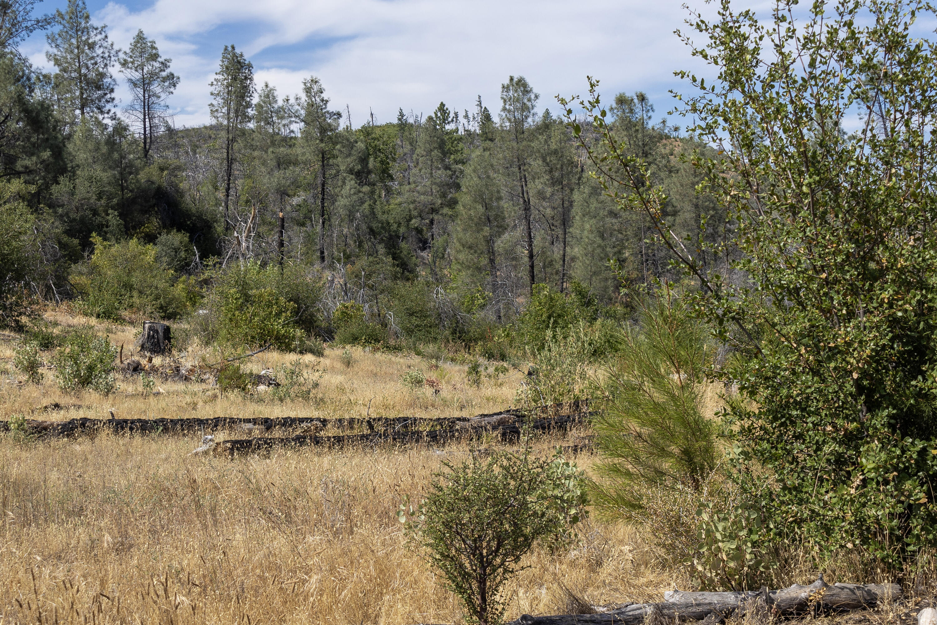Land in Shasta 5