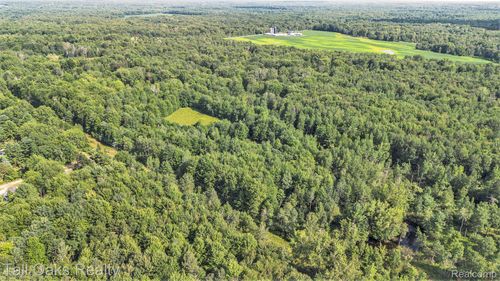 VL Caine Road, Vassar Township, MI, 48768 | Card Image