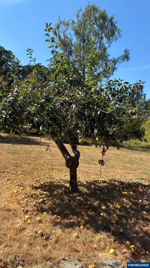 Next To 3415 Sw Willamette Lot #10 Av, Corvallis, OR, 97333 | Card Image