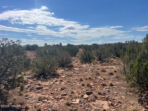 002 N Old Woodruff Rd, Snowflake, AZ, 85937 | Card Image