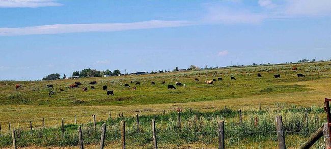 241054 Range Road 260, House other with 5 bedrooms, 3 bathrooms and 10 parking in Wheatland County AB | Image 29