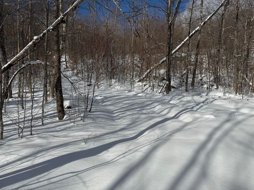 S-1e Great Roaring Brook Rd, Plymouth, VT, 05056 | Card Image