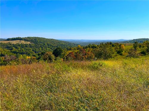 4 Highway 5, Gainesville, MO, 65655 | Card Image