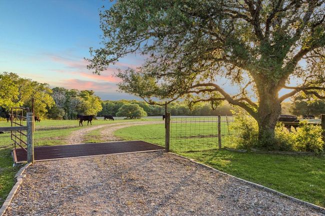 Entry to the front of the house includes a cattle guard. | Image 46