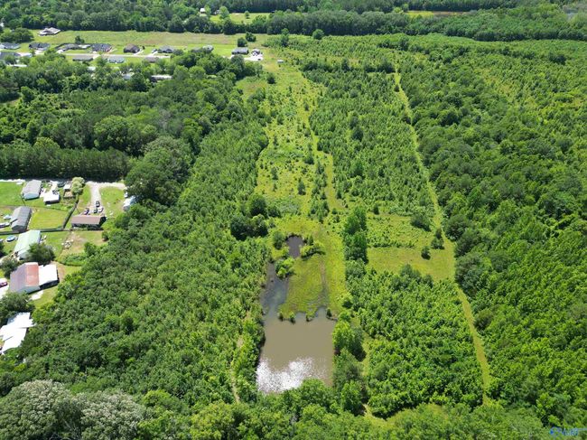 14 Acres Beaver Creek Rd, Home with 0 bedrooms, 0 bathrooms and null parking in Laceys Spring AL | Image 18