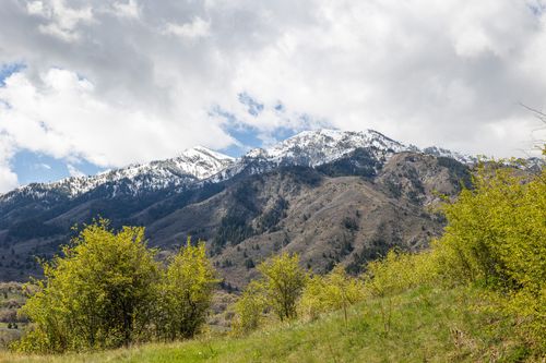 5921 River View Cir, Mountain Green, UT, 84050-9526 | Card Image