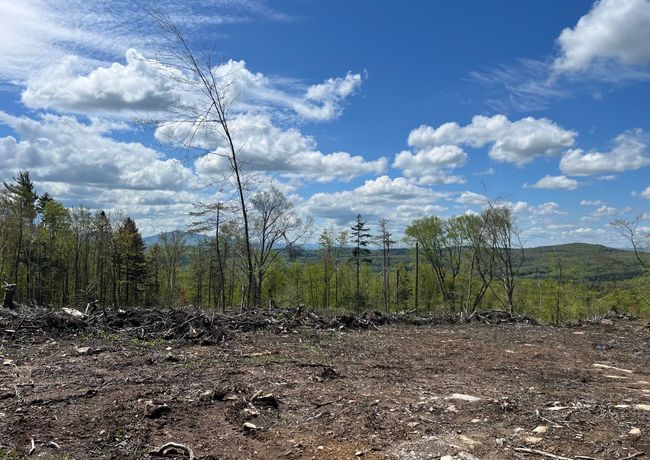 1180 Abbott Hill Rd, Home with 0 bedrooms, 0 bathrooms and null parking in West Burke VT | Image 10