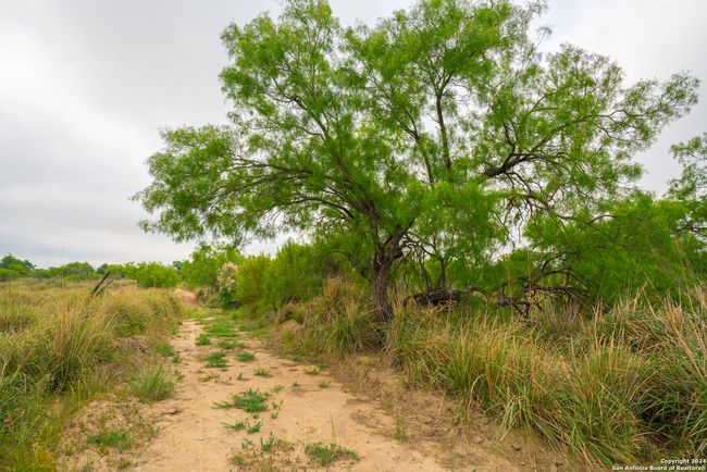 16131 El Indio Hwy, Home with 0 bedrooms, 0 bathrooms and null parking in Eagle Pass TX | Image 10