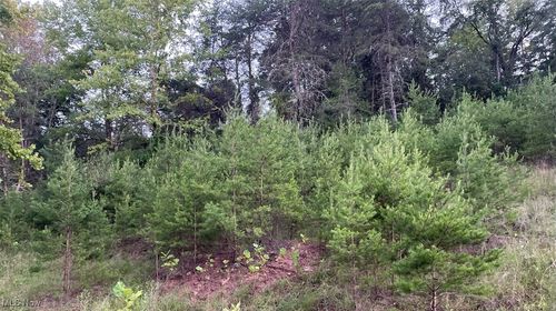 210 Farrow Hill Rd, Davisville, WV, 26142 | Card Image