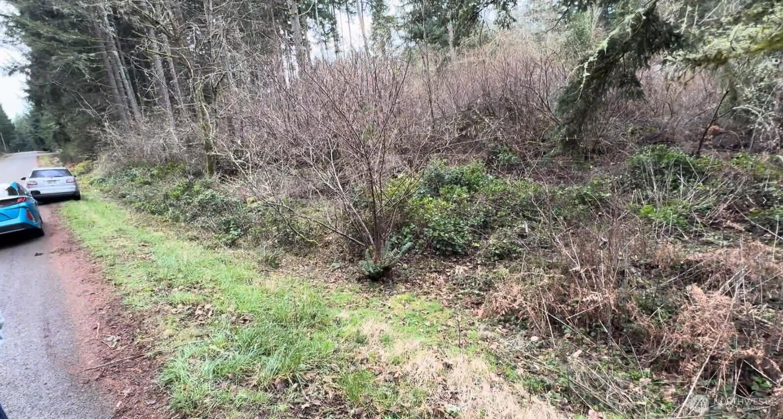 Land in Anderson Island 2