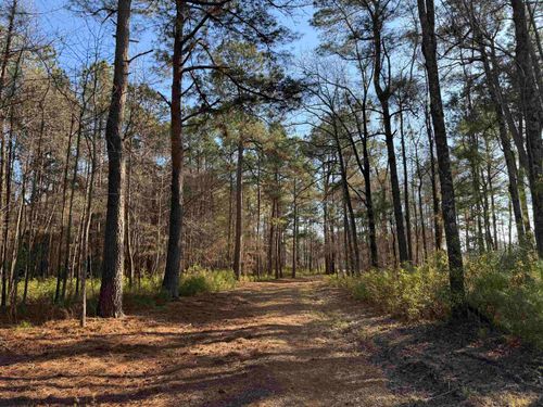 23.30 Acres-TBD Dainty Ave, Kingstree, SC, 29556 | Card Image