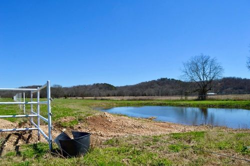 8840 N Highway 43, Maysville, AR, 72747-8854 | Card Image