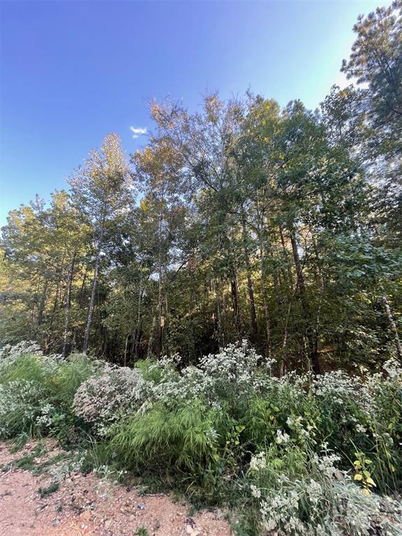 Land in Broken Bow 4
