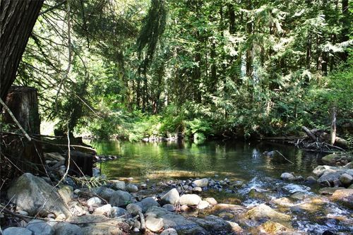 3715 Melrose Rd, Hilliers, BC, V9K1V3 | Card Image