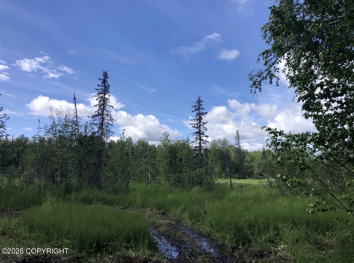 Land in Talkeetna 2