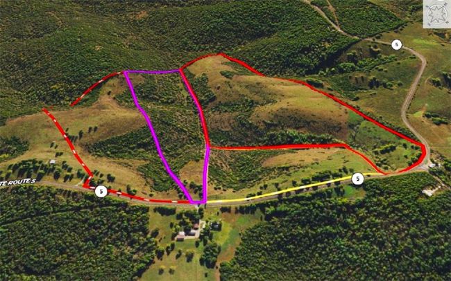 3 Highway 5, Home with 0 bedrooms, 0 bathrooms and null parking in Gainesville MO | Image 6