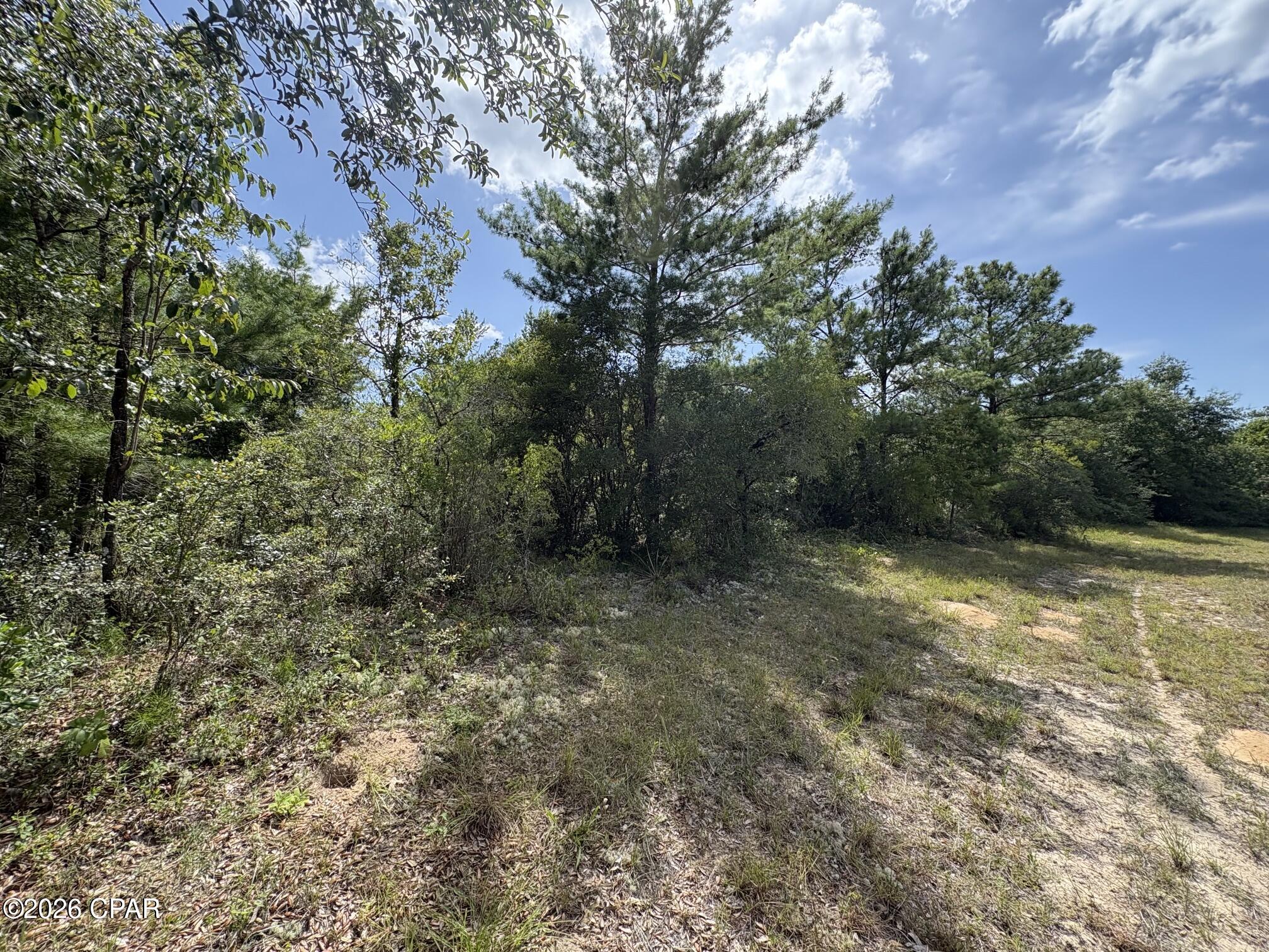 Land in Chipley 2