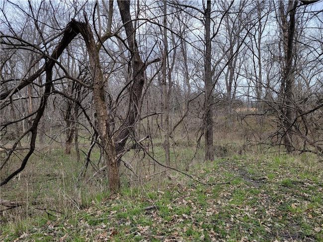 Tract 1 Renick Road, Home with 0 bedrooms, 0 bathrooms and null parking in Oak Grove MO | Image 22