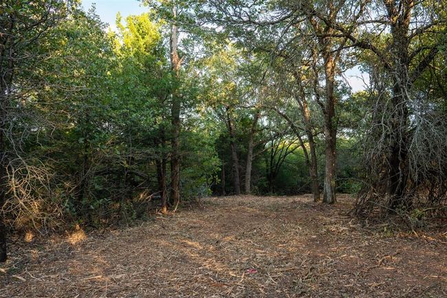 View of nature with a wooded view | Image 14