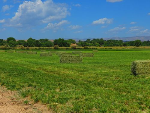 1849 7 Road, Mack, CO, 81525 | Card Image