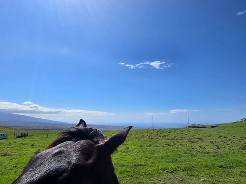 67-1148 Wainoenoe Rd, Kamuela, HI, 96743 | Card Image