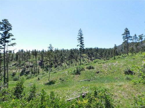 8249 Yuma Cir, Larkspur, CO, 80118 | Card Image