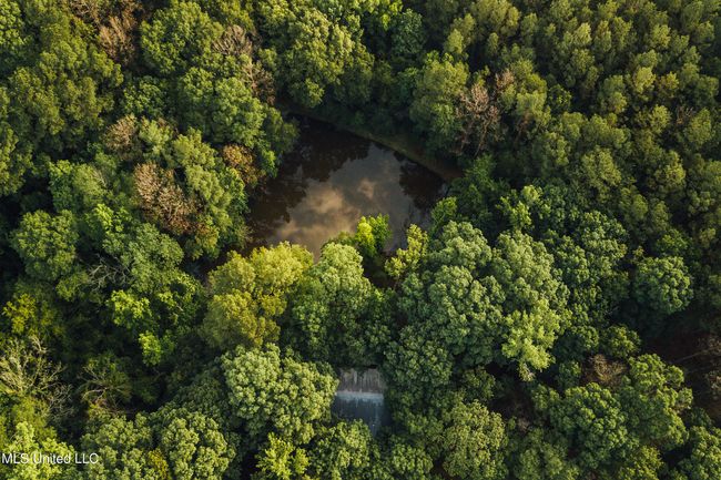 JG Puckett Cabin Drone-3 | Image 5