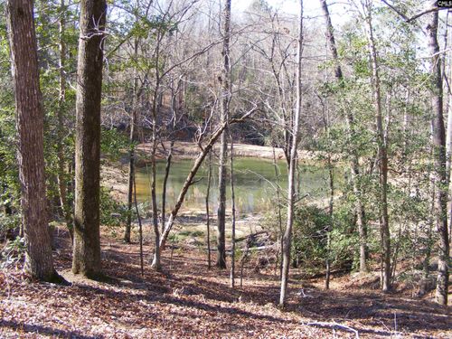 0 Great Circle Drive, St. Matthews, SC, 29135 | Card Image