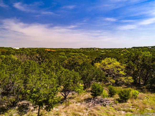 205 Bindweed Ln, Home with 0 bedrooms, 0 bathrooms and null parking in Spring Branch TX | Image 24