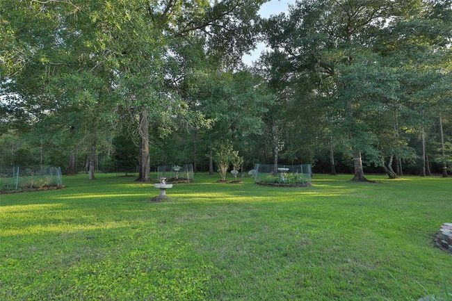 Plenty of room to put in a pool if you so desire using water from the existing well. | Image 44