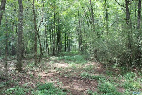 14.28 Blue Pond Blvd E, Sylvania, AL, 35988 | Card Image