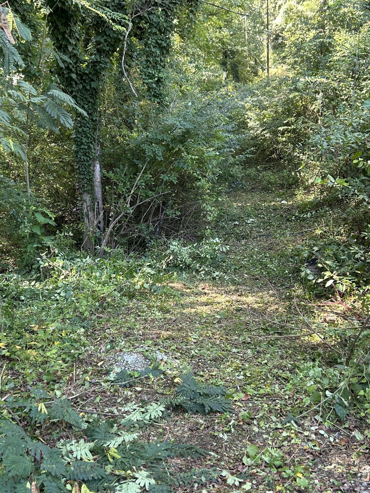 Land in Chattanooga