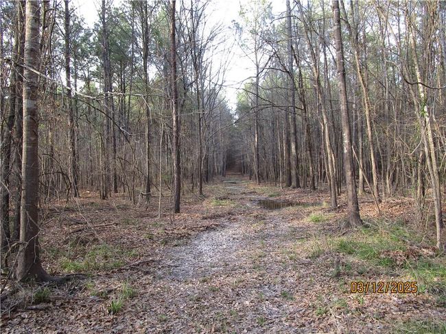0 Obie Smith Road, Home with 0 bedrooms, 0 bathrooms and null parking in Atlanta LA | Image 6