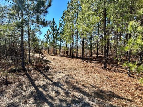 00 Bass Road, Dexter, GA, 31019 | Card Image