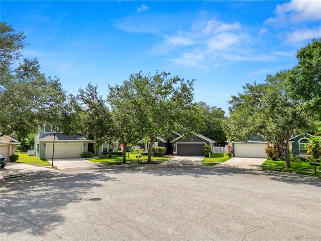16804 Hawkridge Rd, House other with 4 bedrooms, 2 bathrooms and null parking in Lithia FL | Image 49