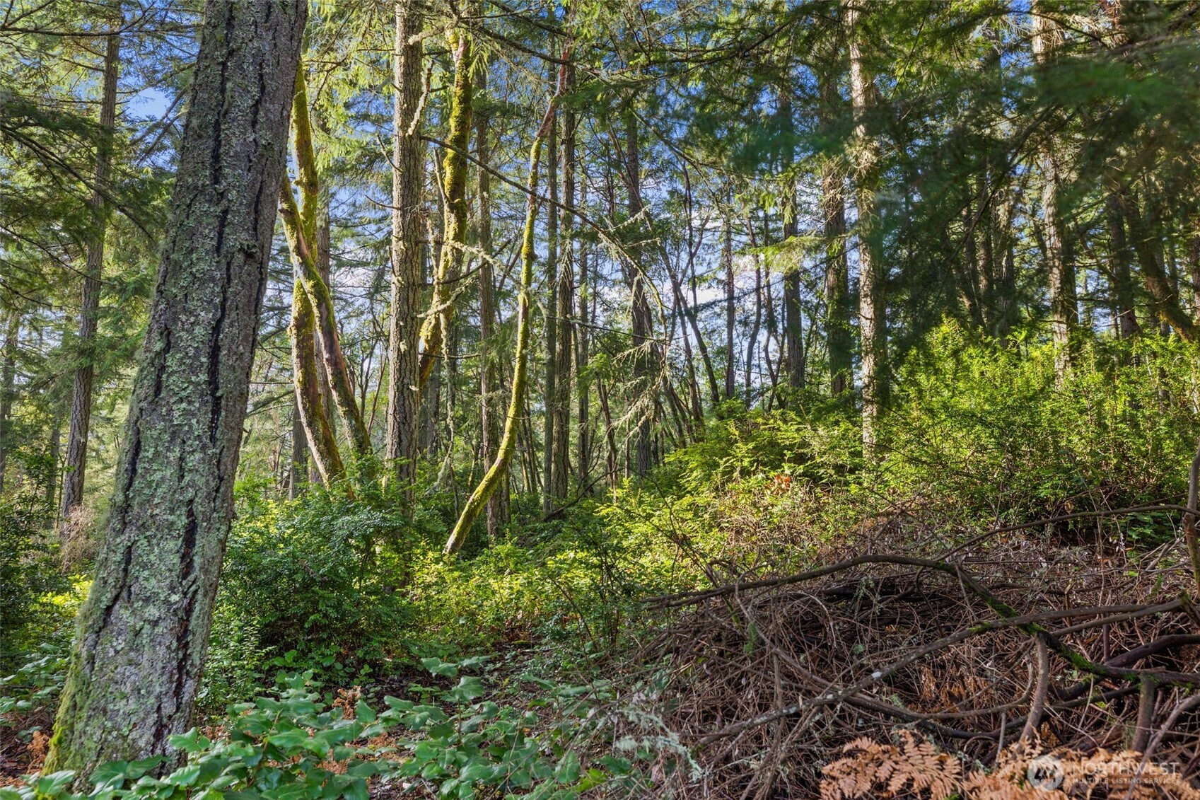 Land in Anderson Island 3