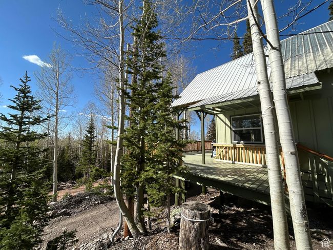 View of yard with a deck | Image 38