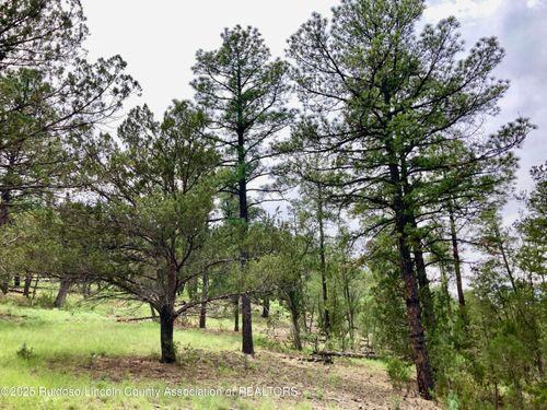 145 Antler Dr, Alto, NM, 88312-8145 | Card Image