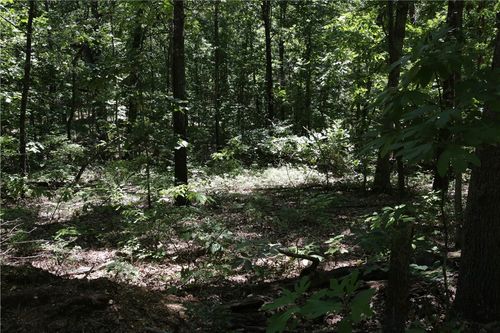 11 Kettering Lane, Bella Vista, AR, 72714 | Card Image