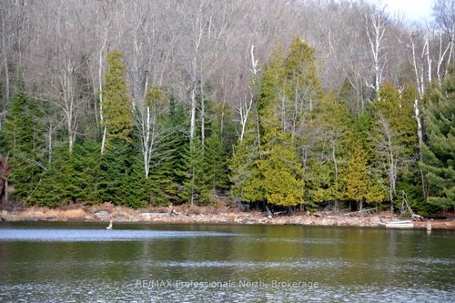 0 Clive Trail, Dysart et al, ON, K0M1S0 | Card Image