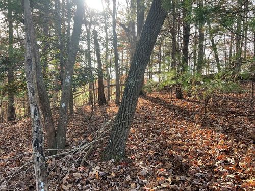 71 Dryad Ct, Ellijay, GA, 30540-6082 | Card Image