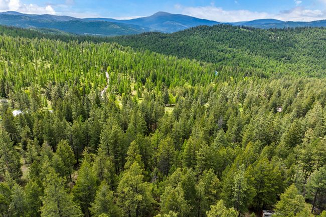 Aerial view captures a peaceful neighborhood nestled among mature pine trees, with mountain views | Image 56