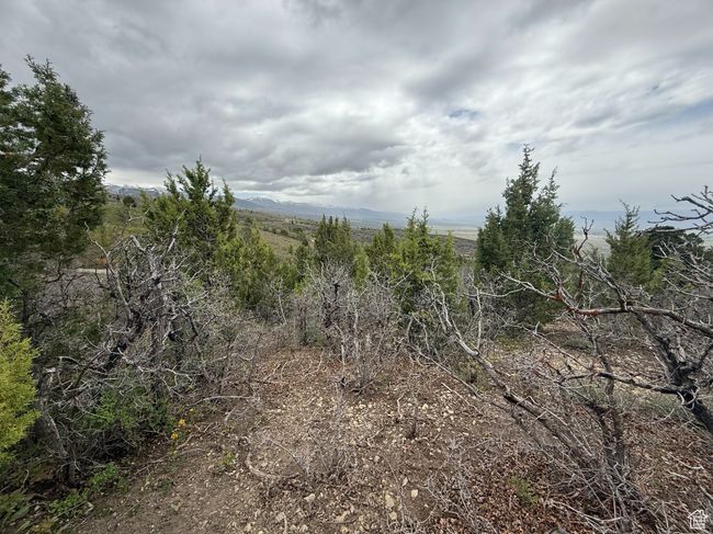 View of undeveloped land | Image 7
