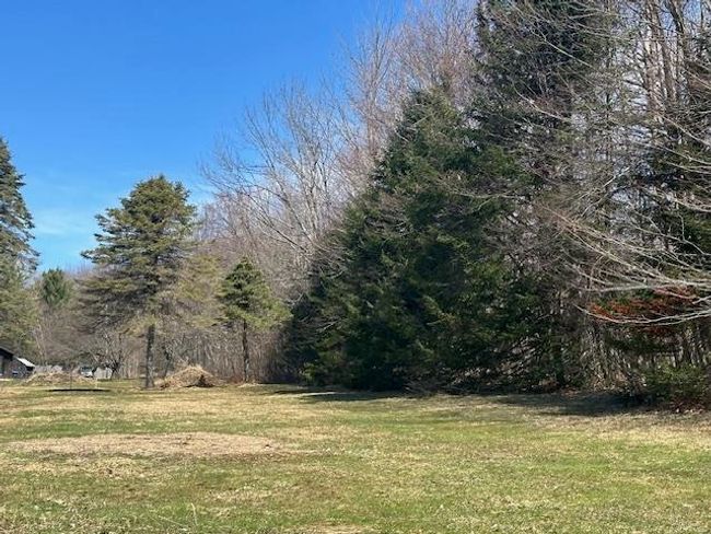 489 Poker Hill Rd, Home with 0 bedrooms, 0 bathrooms and null parking in Underhill VT | Image 4